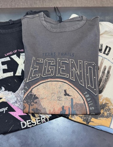 Camisetas texas Onllucy