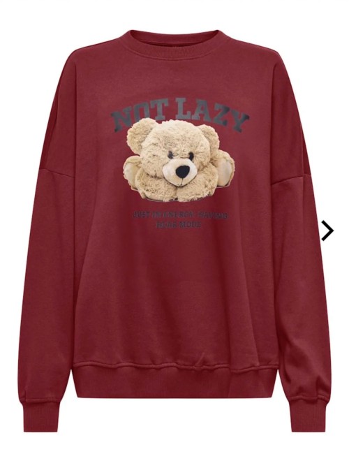 Sudadera osito Onlbila